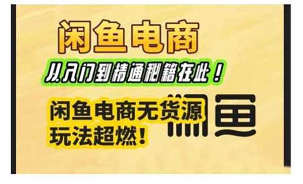 （三网3903期）闲鱼电商实战课