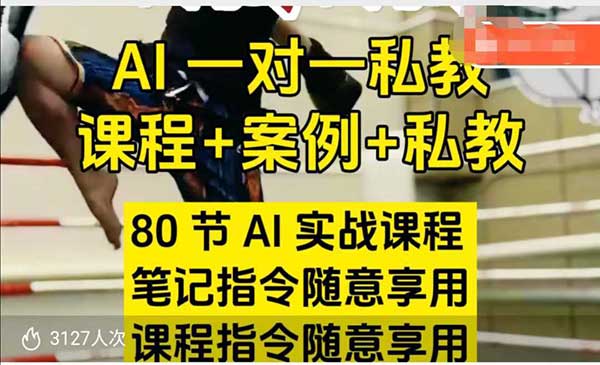 （三网3907期）AI指令实战课
