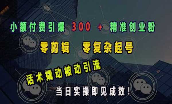 （三网4092期）小额付费引爆创业粉