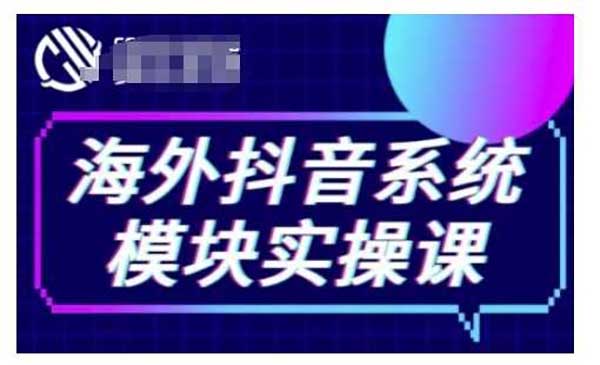 （三网4133期）Tiktok带货+直播+小店实战