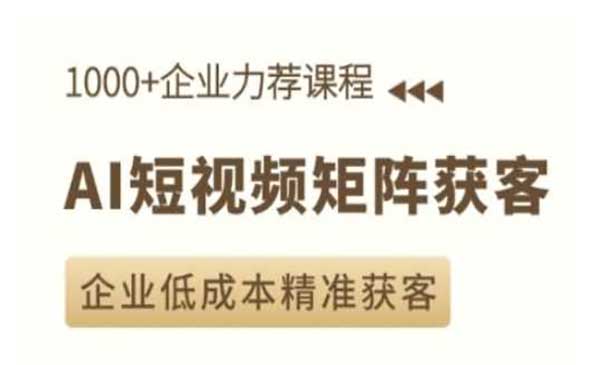 （三网4138期）AI短视频矩阵获客