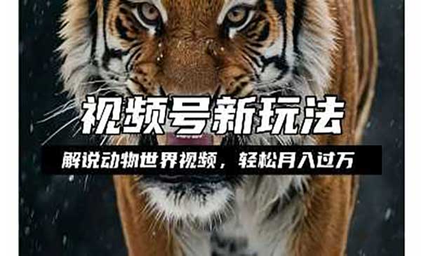 （三网4178期）动物世界解说视频变现