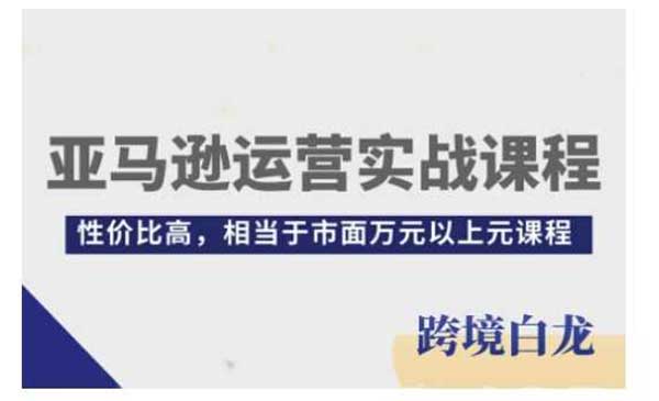 （三网4182期）亚马逊运营实战课程