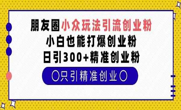 （三网4215期）朋友圈引流创业粉