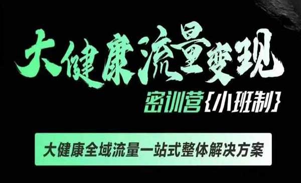 （三网4238期）大健康变现课