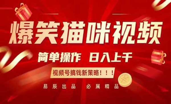 （三网4239期）视频号爆笑猫咪视频