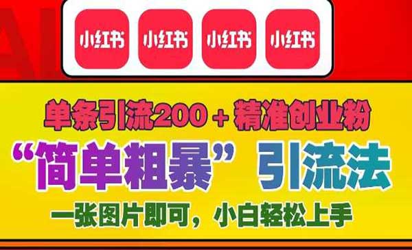 （三网4304期）小红书粗暴引流法