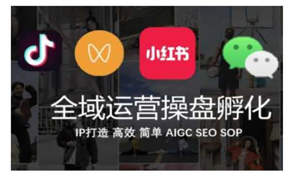 （三网4331期）全域运营操盘手