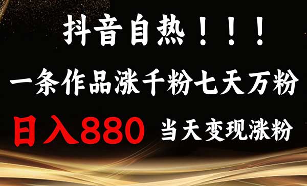 （三网4390期）小红书自热7天万粉