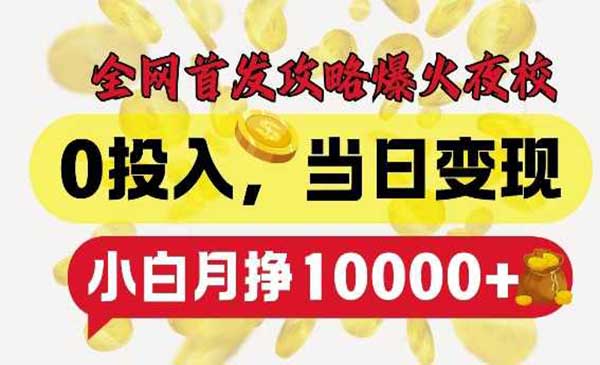 （三网4452期）爆火夜校项目