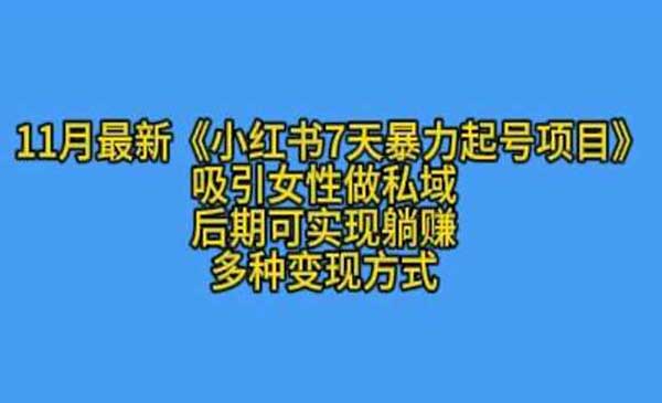 （三网4465期）小红书7天暴力起号