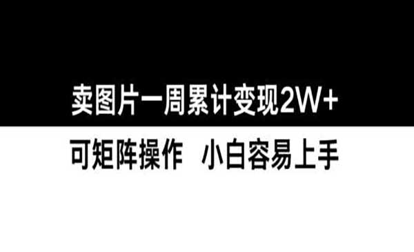 （三网4491期）小红书卖图片项目