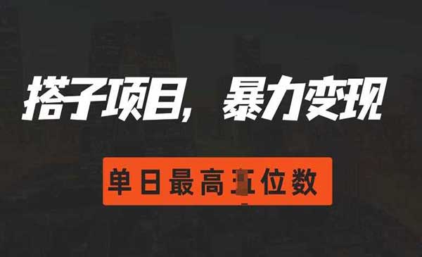 (三网4506期)搭子暴力变现玩法