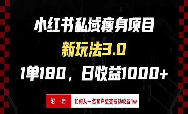 （三网4523期）小红书瘦身项目