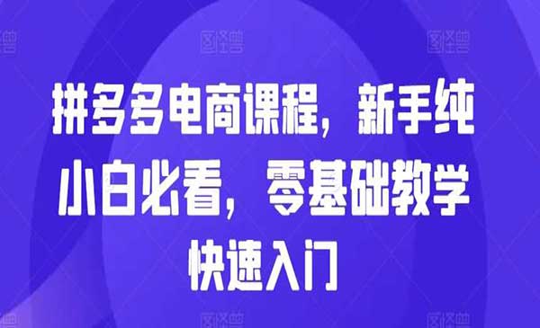 （三网4574期）拼多多快速入门
