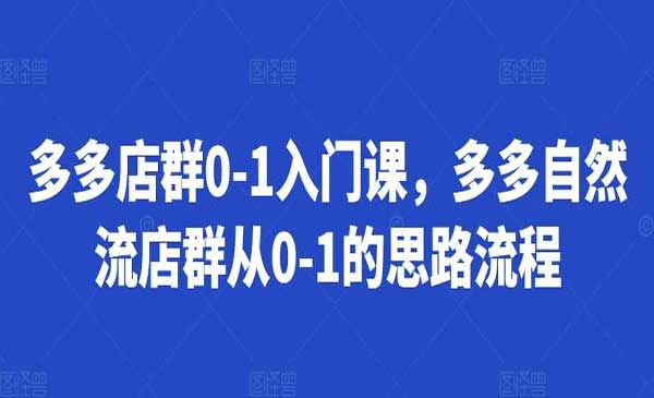 （三网4585期）多多店群入门课