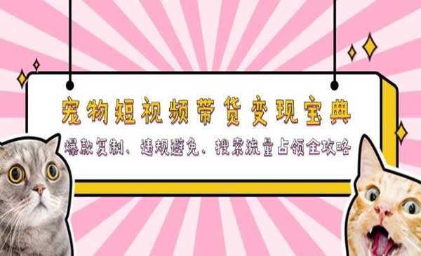 （三网4636期）宠物短视频带货变现
