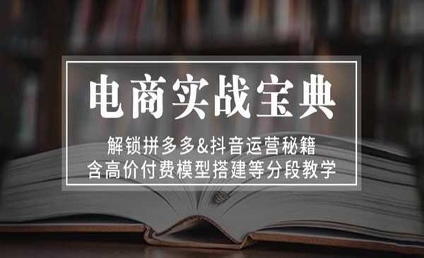 （三网4661期）电商实战宝典