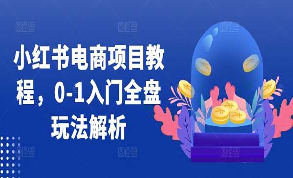 （三网4871期）小红书电商项目