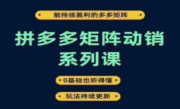 （三网4943期）拼多多矩阵动销