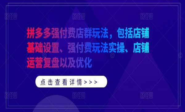 （三网4979期）拼多多强付费店群玩法