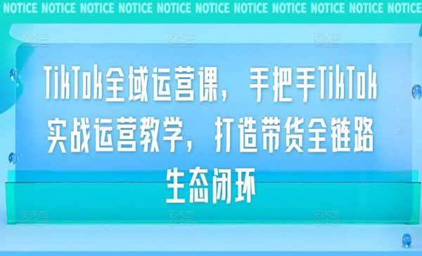 （三网4984期）TikTok全域运营