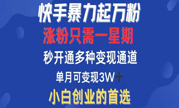 （三网4990期）快手暴力起粉