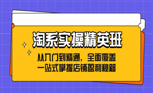 (三网5171期)淘系实战精英班