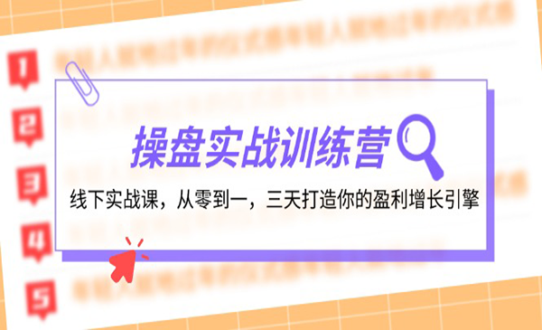 (三网5172期)提盘手流量变现实战