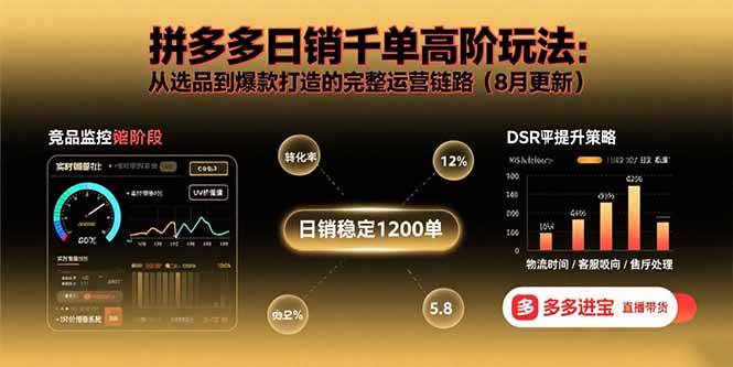 （15850期）拼多多日销千单高阶玩法：从选品到爆款打造的完整运营链路（8月更新）